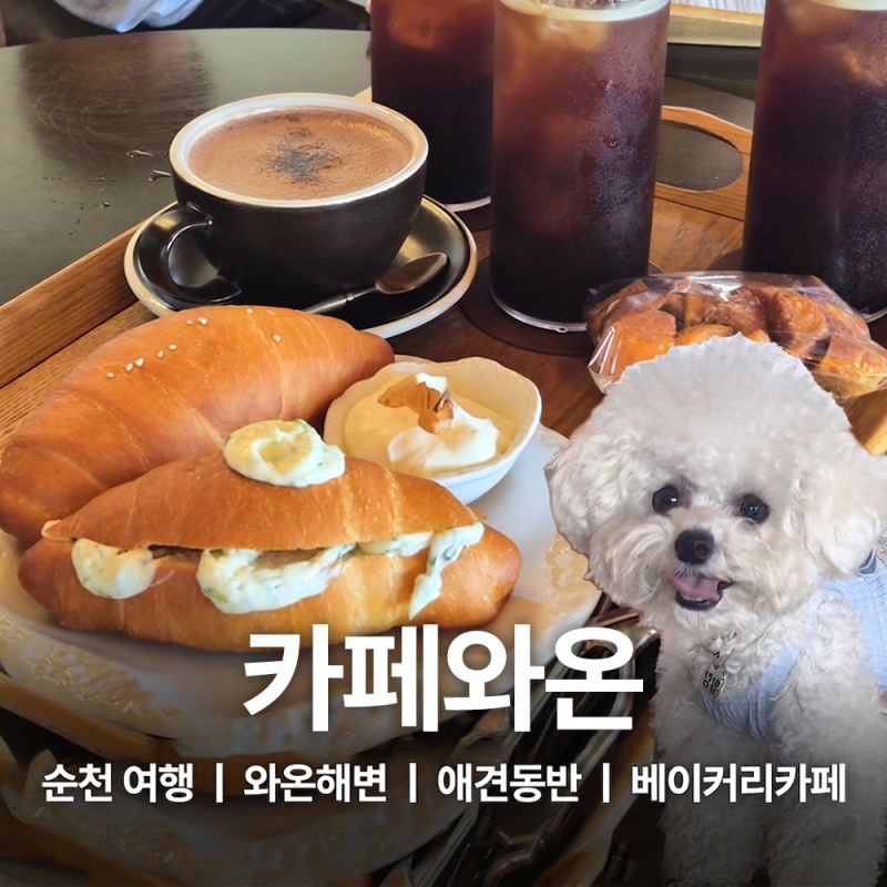 순천여행 와온해변 오션뷰 애견동반 베이커리 카페와온