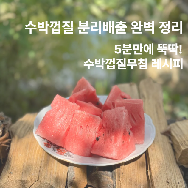 수박껍질 일반쓰레기일까? 완벽 정리, 활용도 200% 매콤달콤 수박껍질무침 레시피