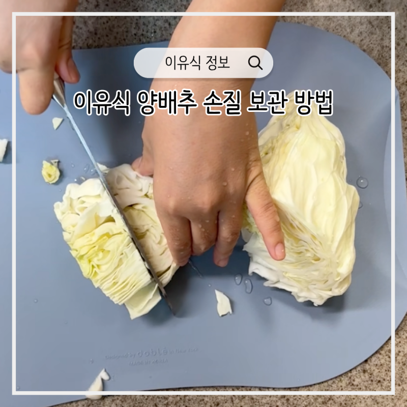 이유식 재료 양배추 손질 소분 냉장 냉동 보관 방법 기간은?