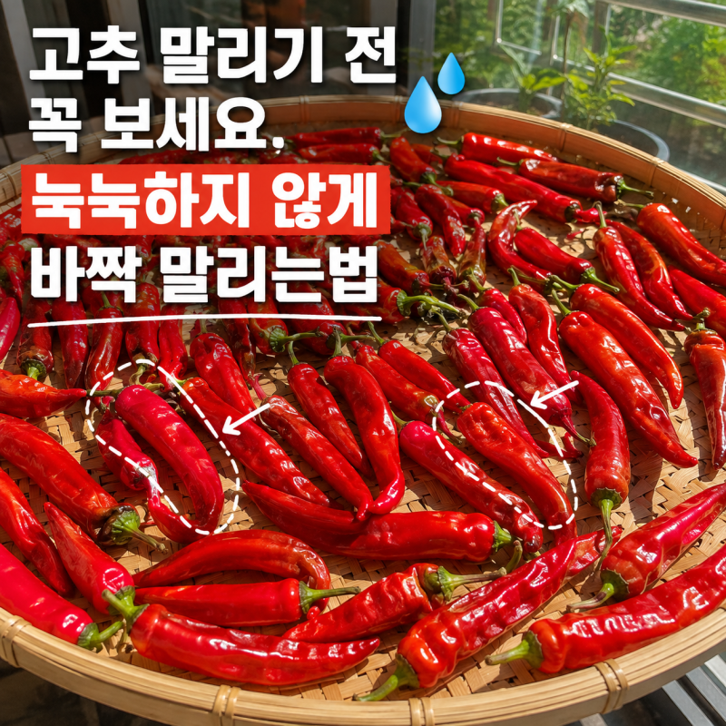 고추 말리기 전 꼭 보세요, 눅눅하지 않게 바짝 말리는법