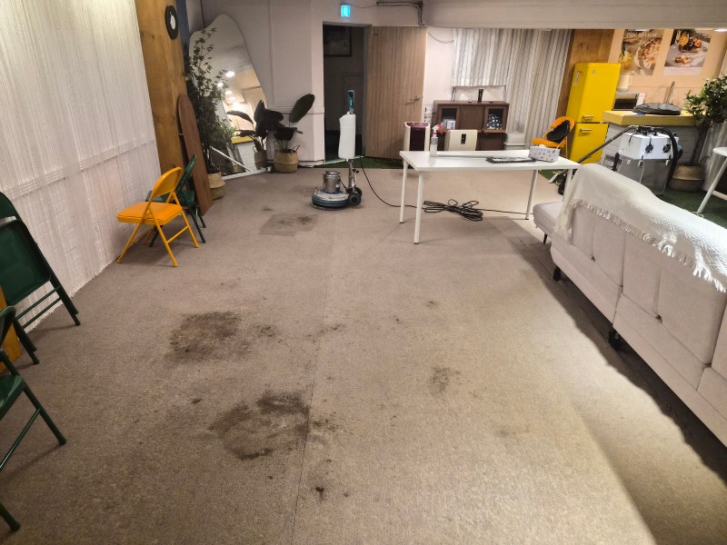 카페트 얼룩제거 방법