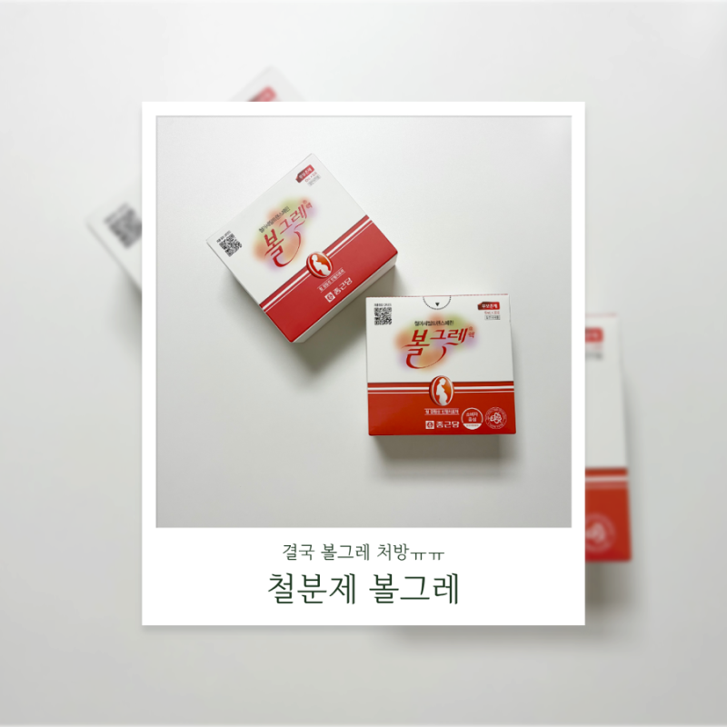 빈혈이라 결국 철분제 볼그레.. 급여 처방 가격 그리고 먹어본 후기!