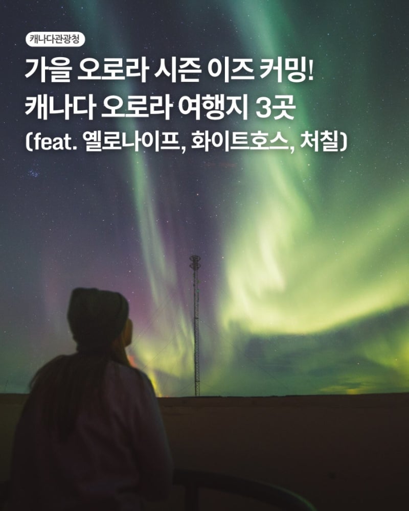캐나다 가을 오로라 여행지 추천 3곳 총정리 (옐로나이프·화이트호스·처칠)