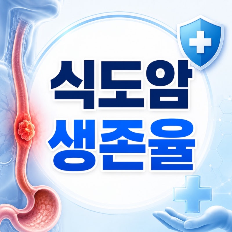 식도암 생존율, 1기부터 4기까지 병기에 따라 얼마나 차이 날까?