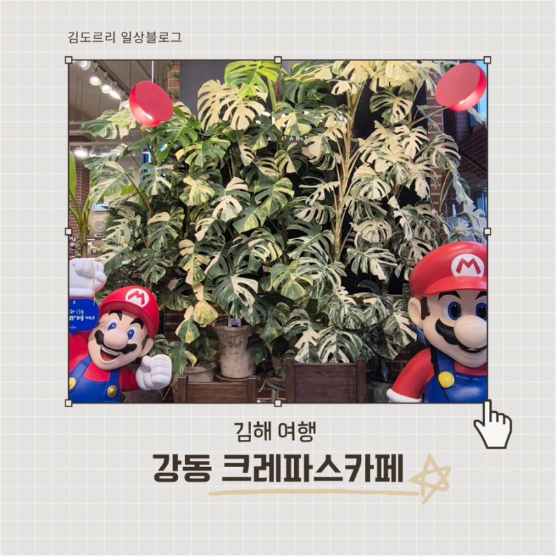김해 카페 희귀식물 카페 애견동반가능 크레파스카페 방문후기