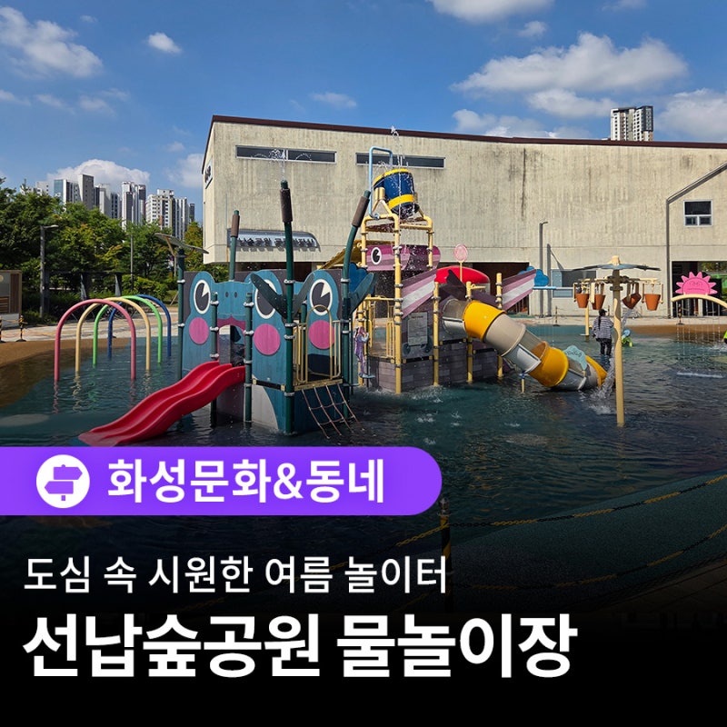 도심 속 시원한 여름 놀이터, 선납숲공원 물놀이장
