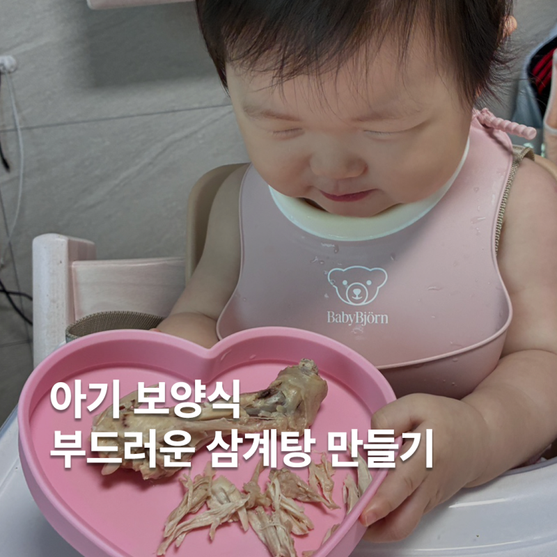 9개월 아기 삼계탕 만들기 레시피 공유