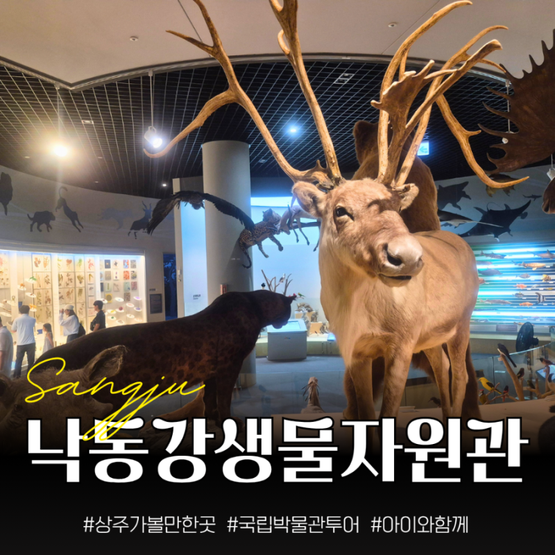 경북 아이와 가볼만한곳 상주 국립낙동강생물자원관 실내 놀이터까지