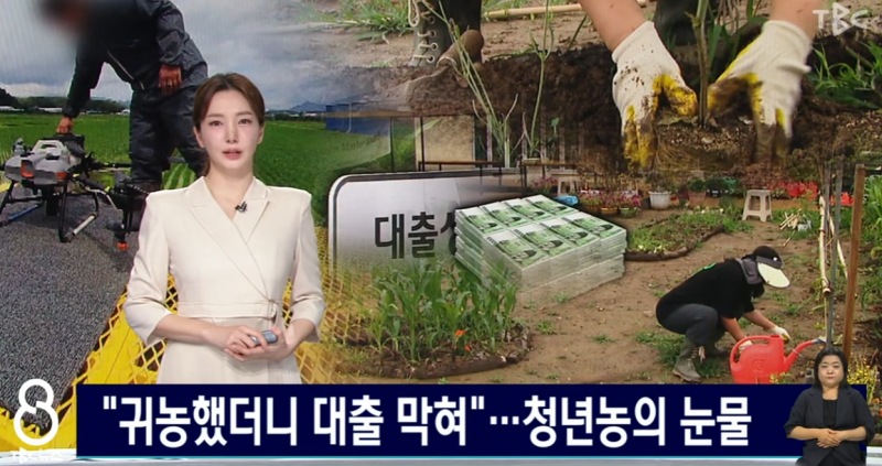 2026 후계농업경영인 신청 자격부터 지원금·육성 자금까지 총정리