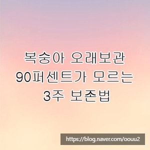 복숭아 오래보관, 90퍼센트가 모르는 3주 보존법