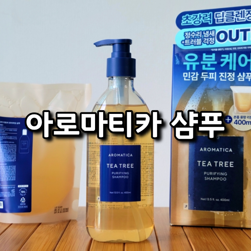 2026 PX 군마트 아로마티카 티트리 민감 두피 유분 지성 샴푸 신상 내돈내산