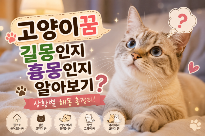 고양이꿈 길몽인지 흉몽인지 알아보기