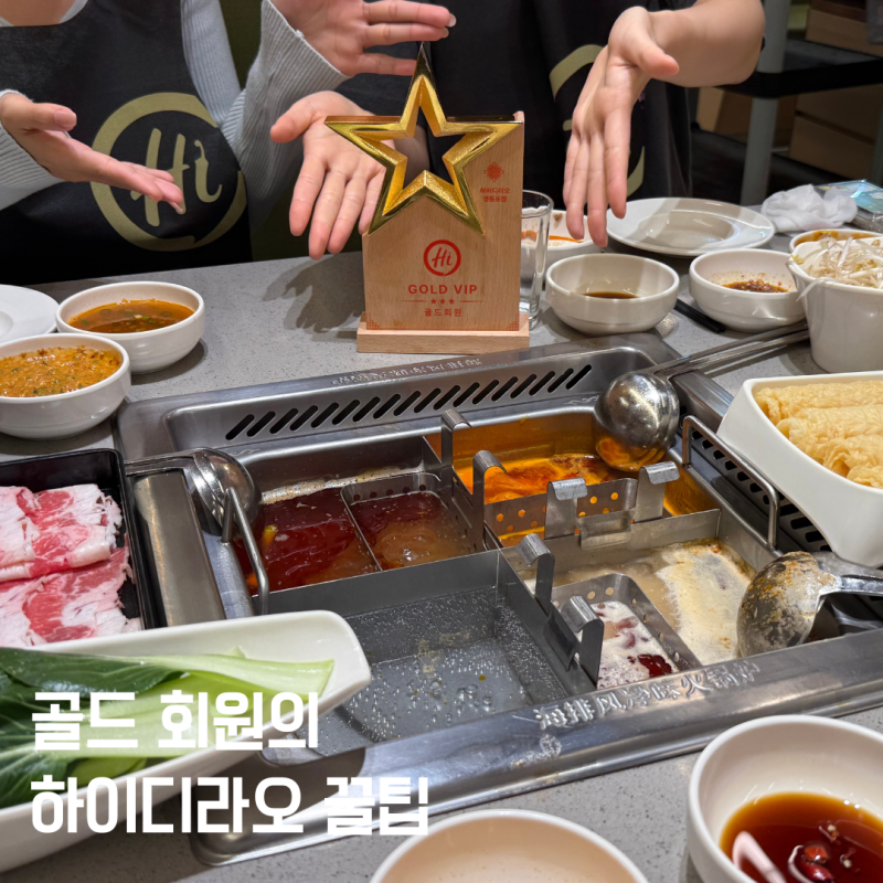 하이디라오 영등포점 골드회원 꿀팁｜메뉴 추천·소스 레시피·예약 웨이팅 총정리