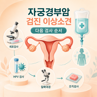 2026 자궁경부암 검진 이상소견 총정리｜ASC-US·LSIL·HSIL 다음 검사 순서