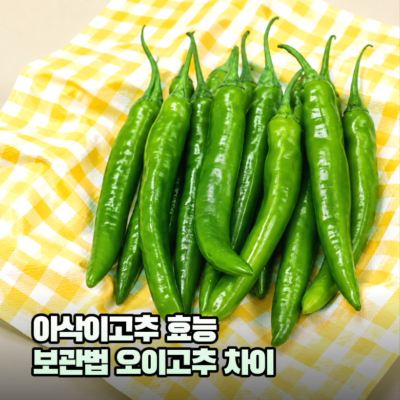 아삭이고추 효능과 보관법 "오이고추"와 같은 걸까?