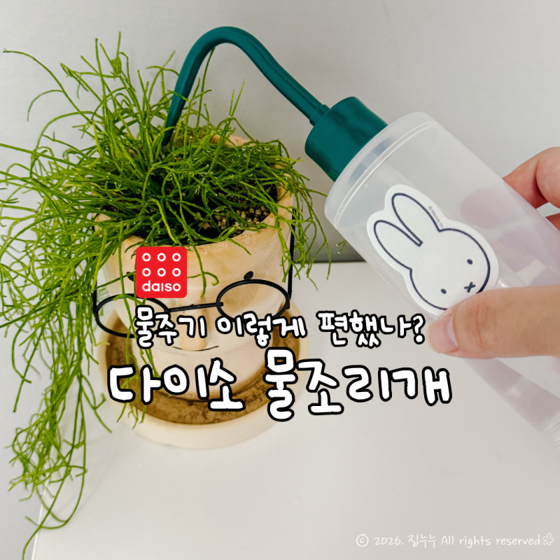 “왜 이제 샀지?” 좁은 화분 물주기 편해지는 다이소 물조리개