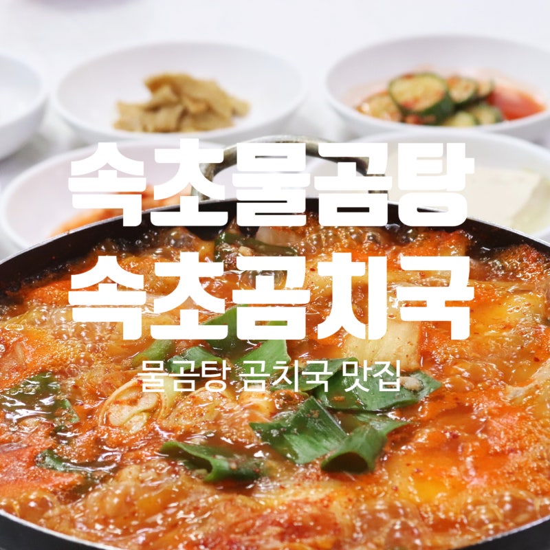 속초 물곰탕 맛집, 생물곰치만 사용하는 현지인 추천 '속초곰치국'