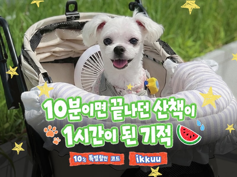 강아지유모차 추천 펫테나 뉴턴 노견 개모차 (특별할인코드 포함)