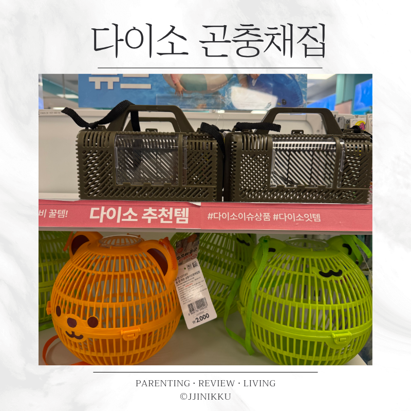 다이소 곤충채집통 채집망 종류부터 크기까지 살펴보기