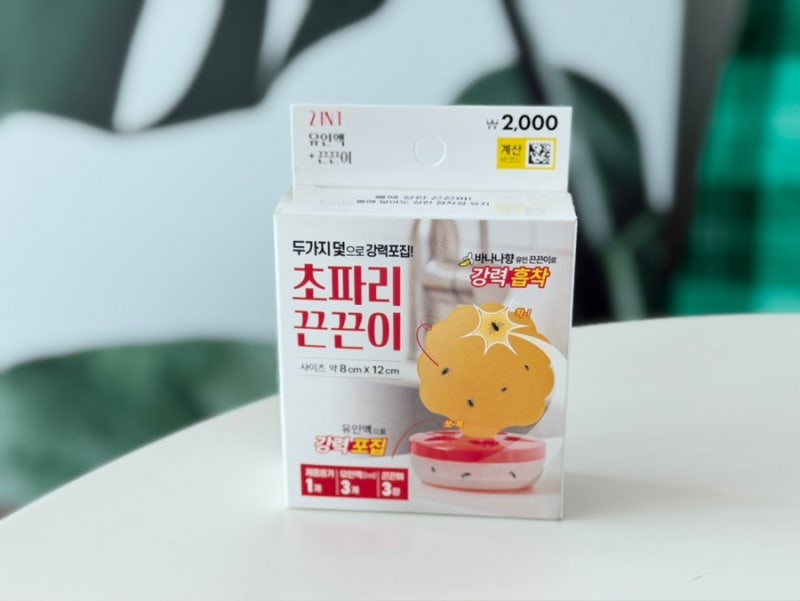 다이소 추천템 초파리 끈끈이 구입 후기
