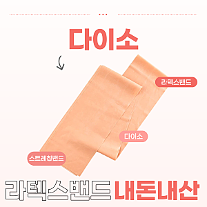 다이소 스트레칭 근력운동 라텍스 밴드 내돈내산 후기/다이소 홈트|다이소 라텍스 밴드 2단....