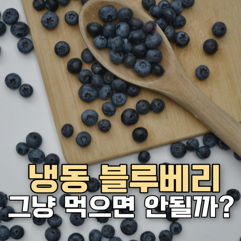 냉동 블루베리 그냥 먹으면 안 된다? 세척기준과 확인방법