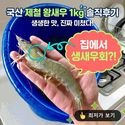 국산 흰다리새우 1kg 제철 왕새우 집에서 생새우회