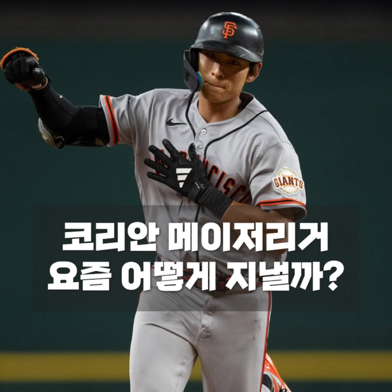 코리안 메이저리거 근황, 이정후·김혜성·송성문·김하성 현재 상황은?