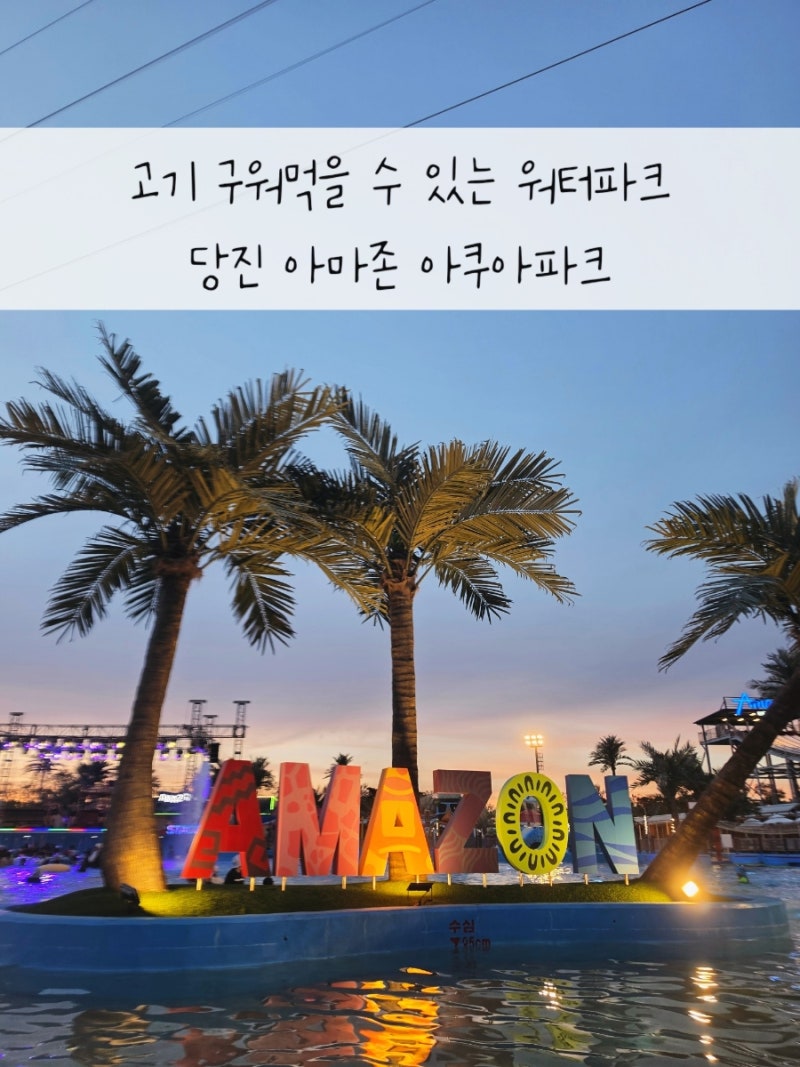 당진 취사가능한 워터파크 아마존 아쿠아파크 야간 방문 후기