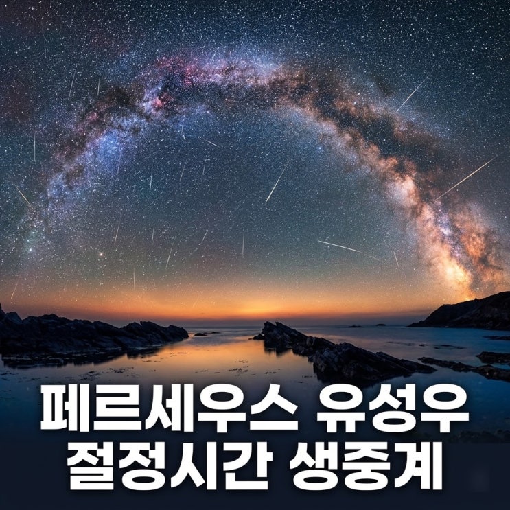 <b>페르세우스 유성우 절정</b> 시간 온라인 생중계