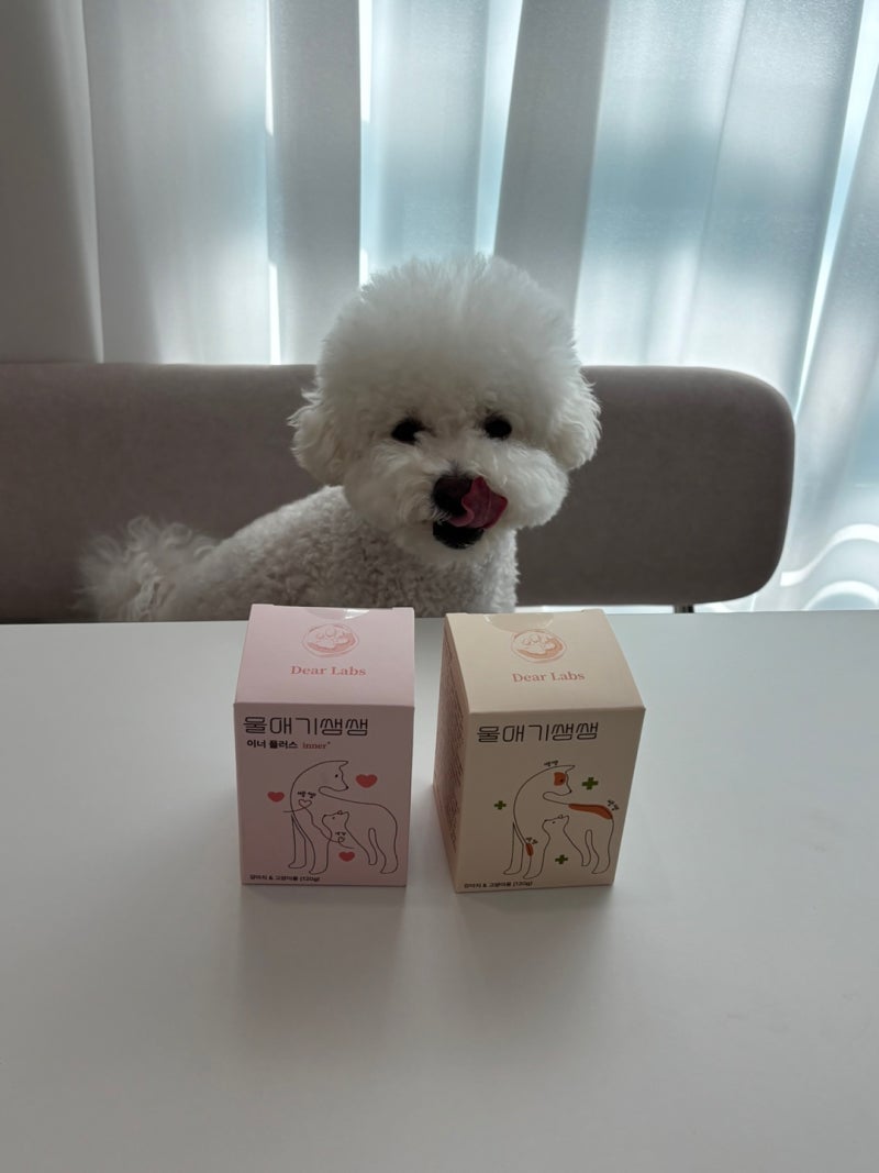 강아지영양제추천 울애기쌩쌩 이너플러스 급여후기