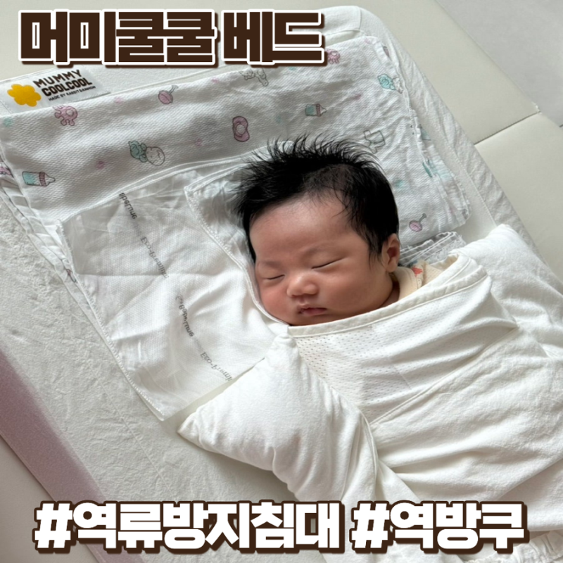 머미쿨쿨베드 역류방지쿠션 역방쿠 모로반사 육아템 후기