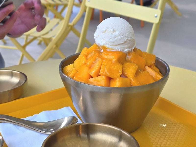 제주동 애플망고 빙수 맛집 제주망고집 산지 직송 애플망고로 호텔 빙수 반의반의 어디쯤 가....