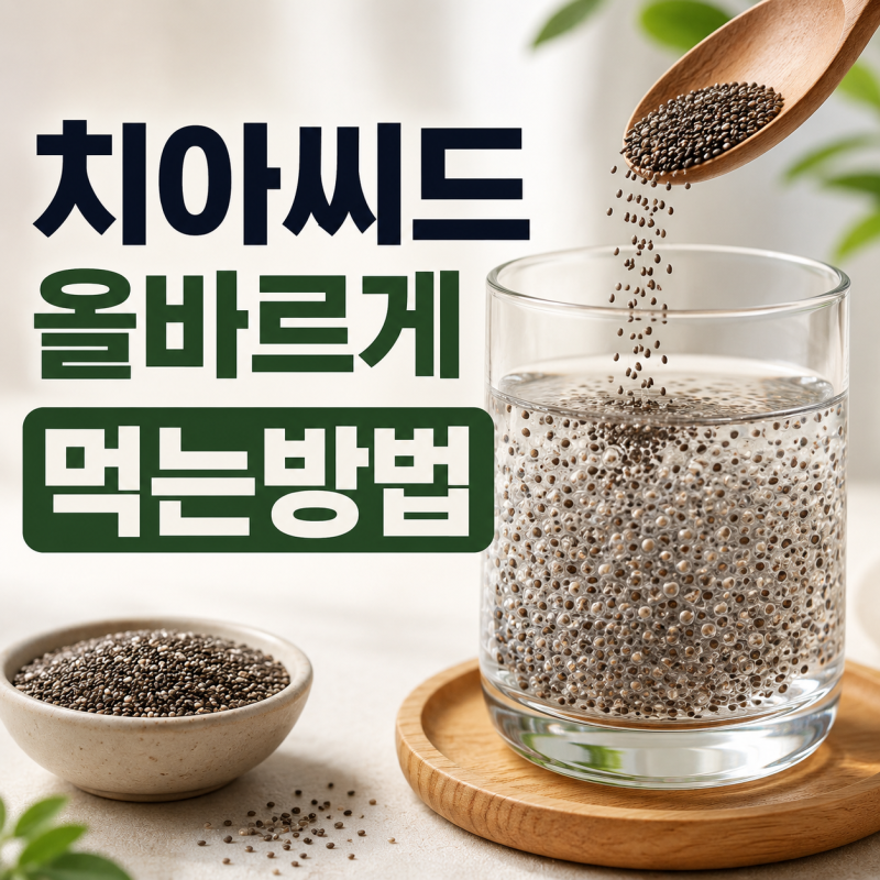 “물에 불리면 10배?” 치아씨드가 다이어트에 등장하는 진짜 이유