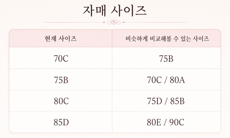 브라 자매 사이즈란?｜75C와 80B 차이 쉽게 이해하기