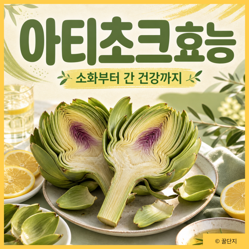 소화와 간 건강엔 아티초크, 효능 추출물 먹는법 부작용 알아보자
