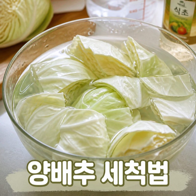 양배추 씻는 법, 한 장씩 떼어 씻어야 할까요? 깨끗한 세척법