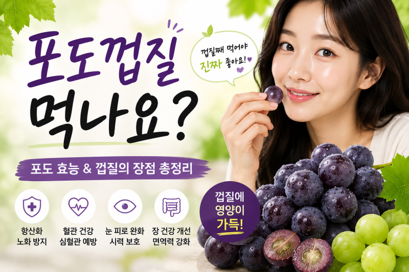 포도껍질먹나요? 영양 성분부터 잔류 농약 걱정 없애는 세척법까지 정리