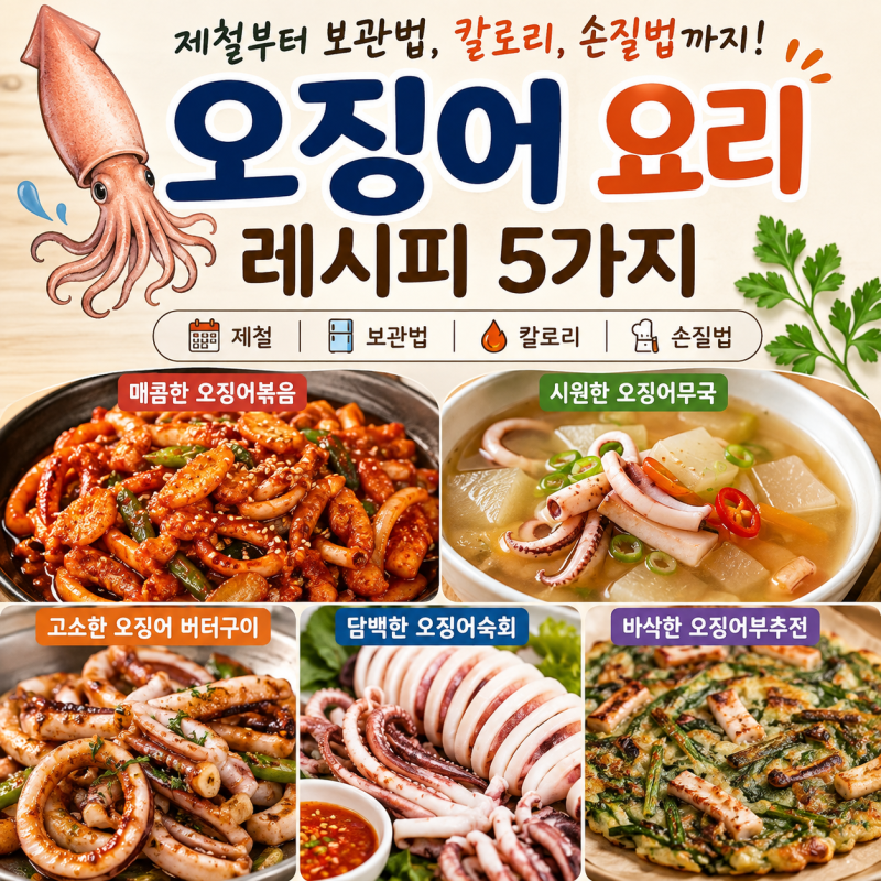 오징어 제철부터 보관법, 칼로리, 손질법매콤한 오징어볶음, 시원한 오징어무국, 고소한 오....