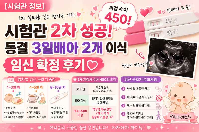 [시험관 정보] 시험관 2차 동결 3일배아 2개 이식 성공 후기! 임신 극초기 일자별 증상, 피검 ....
