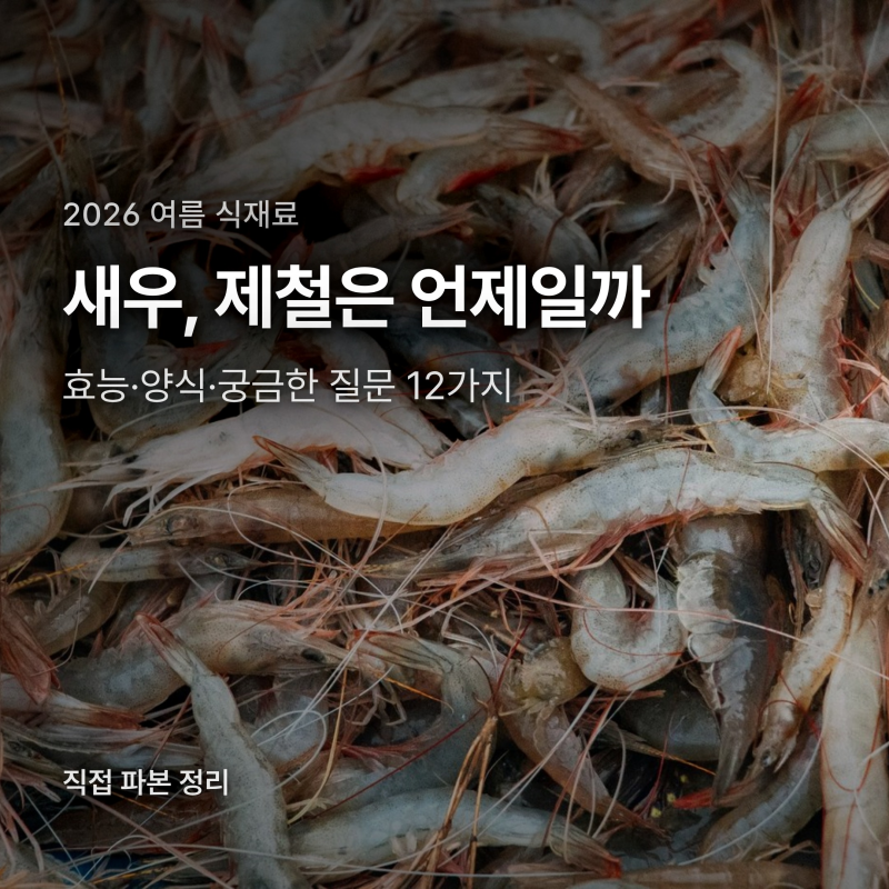 새우 제철은 가을뿐일까, 효능과 양식 궁금한 것들