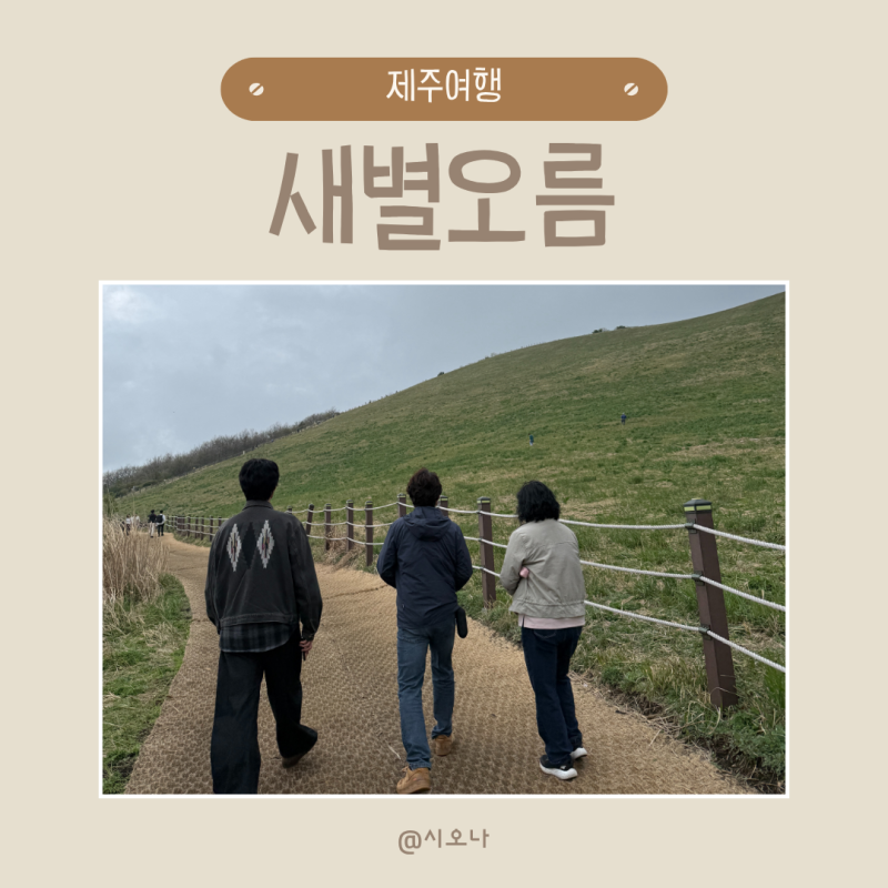 제주도 가볼만한곳 추천 가족여행으로 좋은 제주 서쪽 필수코스 새별오름