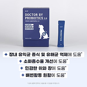 닥터바이 강아지 유산균 직접 써본 솔직 사용기