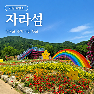 가평 자라섬 입장료 주차 지금 무료 꽃 페스타 가을 일정 재즈페스티벌 날짜 총정리
