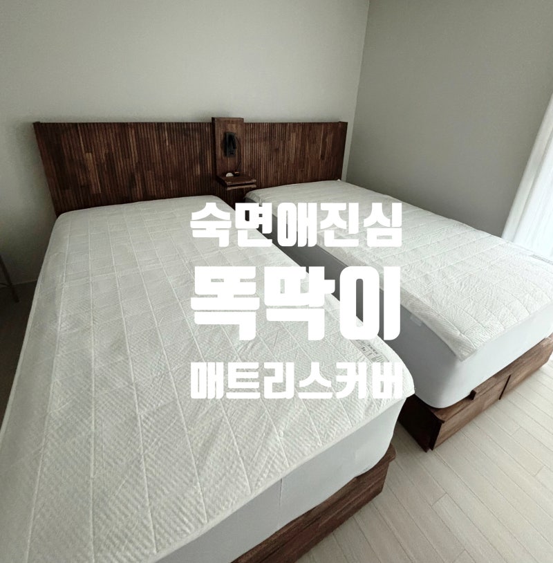 [안방] 땀에 젖은 침대, 이제 안녕(숙면애진심 똑딱이 냉감 매트리스 커버 후기)
