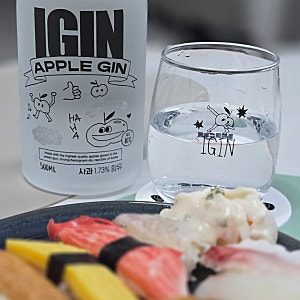 아이긴(IGIN) 애플진 40도 500ml 내돈내산 후기｜온더램프 2차 대신 선택한 사과 증류주