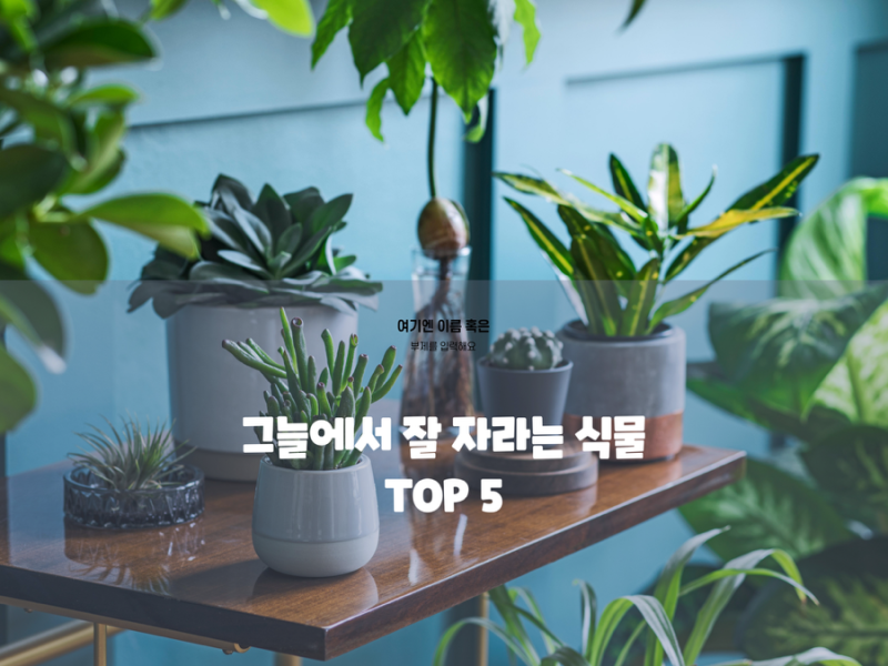 그늘식물 종류 그늘에서잘자라는식물 관리 노하우 총정리