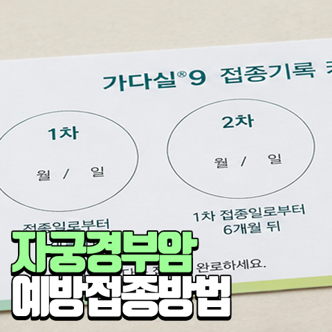 자궁경부암 검사 종류와 예방접종 가격·접종 시기