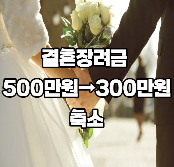 "대전 결혼장려금 500만원→300만원", 결혼 앞둔 예비부부가 꼭 알아야 할 것