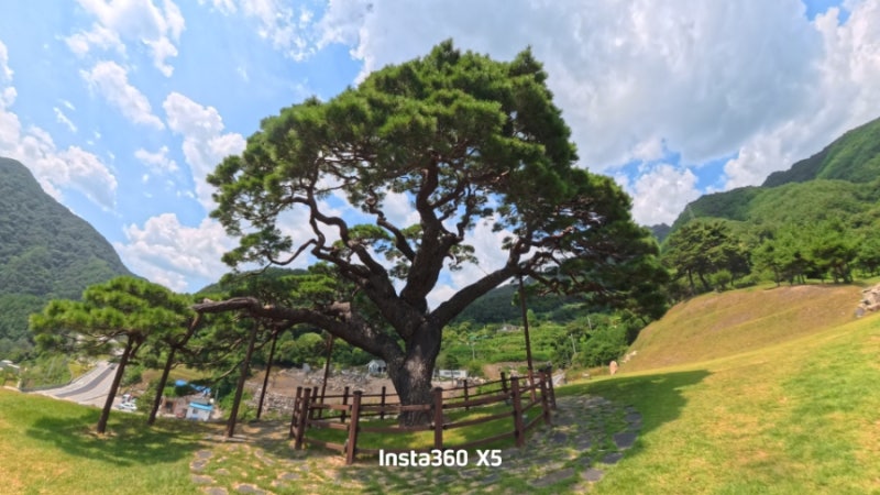 도롱이 연못 솔고개 소나무 정선 가볼 만한 곳